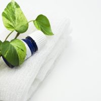 「80歳になる母。電話の向こうで泣いている……」、なんて声をかければい