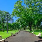 ”死ぬことがない”とわかっている人たちにとって、「死ぬこと以外かすり傷」は何も意味しないのか。