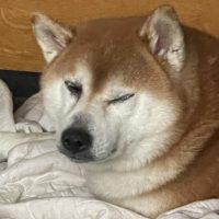自分で自分をコントロールできる人間は、一人としていなかった。可能にした哲人たちがあらわれだした。古の叡智に絶句するばかり......