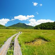 自らの進む道を照らす光を見つける。その方法は、一つしかないんだ。