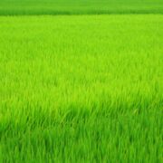 「人間関係」「対人関係」テーマは、問題ではなく『自然』です。