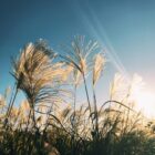 幸せになる方法は分かっても、それでも不安。