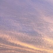 生きる力を育む