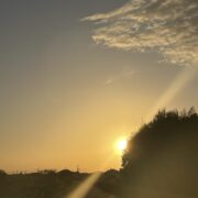 離婚理由の圧倒的上位は「性格の不一致」。それは言い訳か。