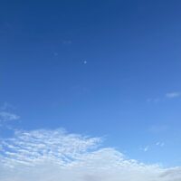 思想 × コミュニケーションエッセイ