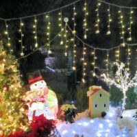 「気づかない自由」と「わからないままでいる自由」