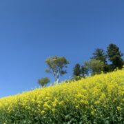 伝える力より、受け取る力がコミュニケーションの鍵