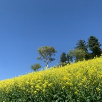 伝える力より、受け取る力がコミュニケーションの鍵