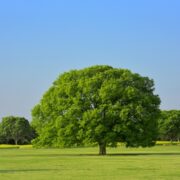 【解説】伝わらない理由!情報とコミュニケーション