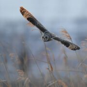 人間関係・対人関係の原因が分かれば、悩むことは無くなる