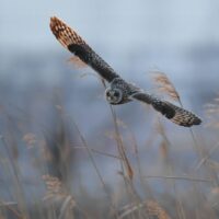 人間関係・対人関係の原因が分かれば、悩むことは無くなる