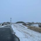 人倫の連鎖 ― 参与からの雪の一票を考える