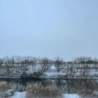 わかるものにはわかる｜真善美とお金では買えない価値