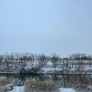 わかるものにはわかる｜真善美とお金では買えない価値