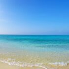 美しいものは美しい