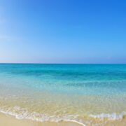 美しいものは美しい