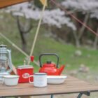 永遠の桜|「時熟」がひらく、人生を美しく生きるための理(ことわり)